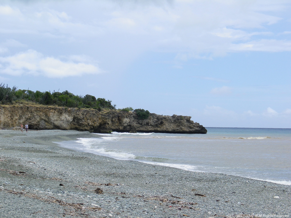 Beach - Altantic37.jpg